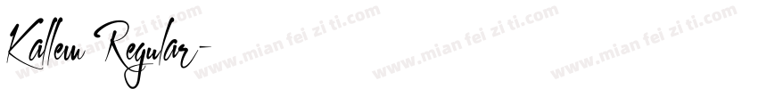 Kallem Regular字体转换